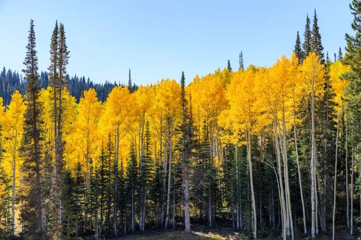 325 White Pine Canyon Rd, Park City, Utah 84060
