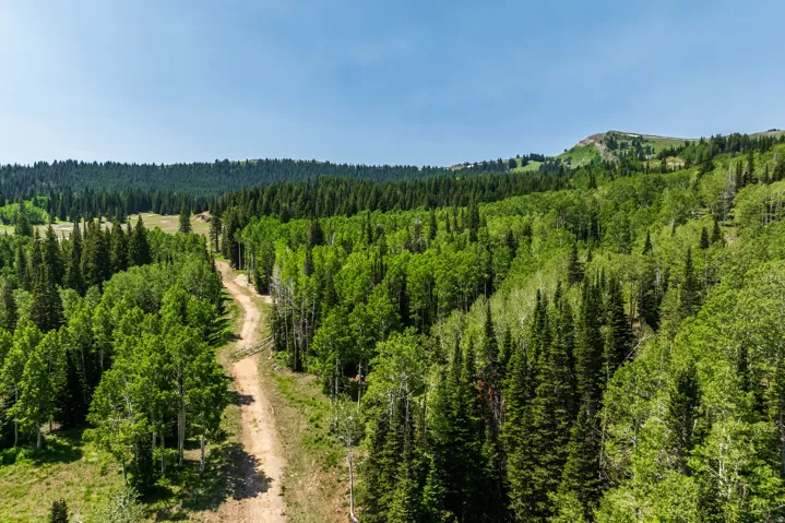 325 White Pine Canyon Rd, Park City, Utah 84060