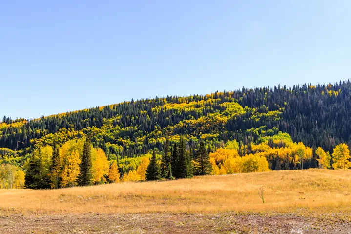 325 White Pine Canyon Rd, Park City, Utah 84060