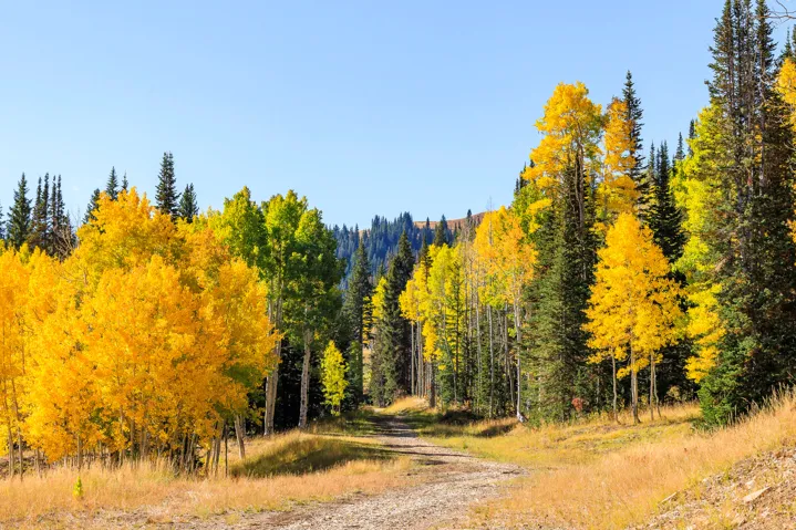 325 White Pine Canyon Rd, Park City, Utah 84060