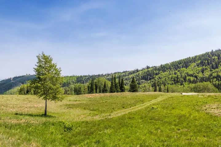 325 White Pine Canyon Rd, Park City, Utah 84060