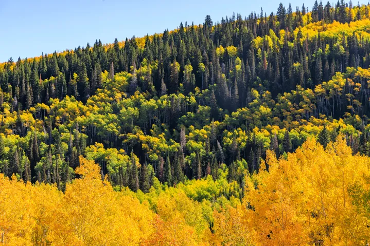 325 White Pine Canyon Rd, Park City, Utah 84060