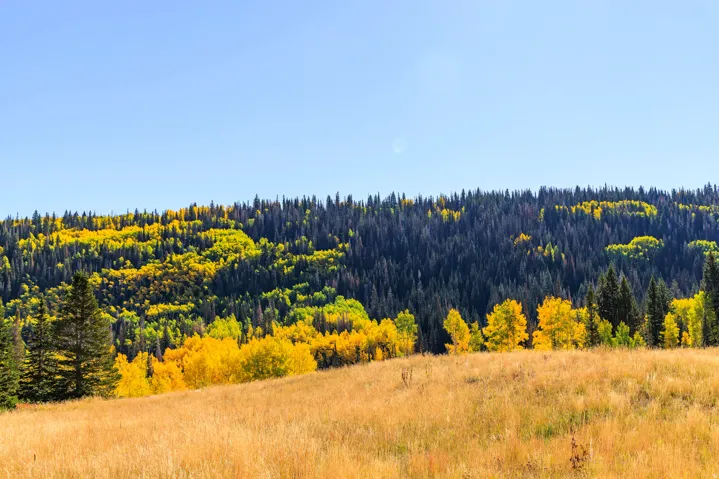 325 White Pine Canyon Rd, Park City, Utah 84060