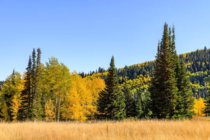 325 White Pine Canyon Rd, Park City, Utah 84060