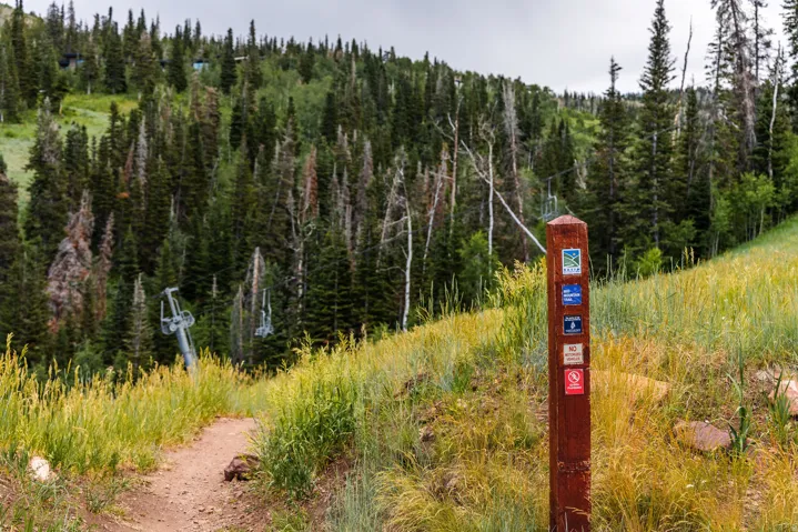 325 White Pine Canyon Rd, Park City, Utah 84060