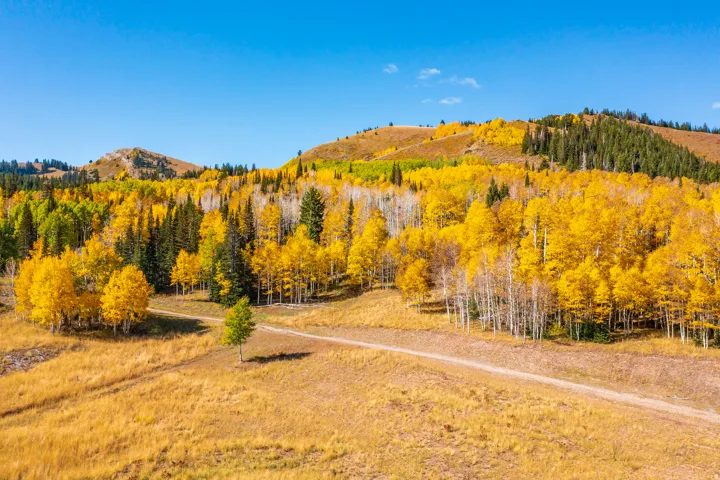 325 White Pine Canyon Rd, Park City, Utah 84060