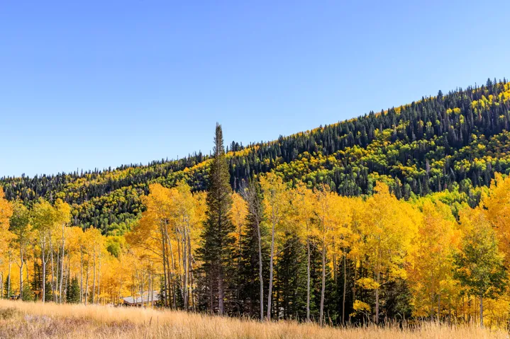 325 White Pine Canyon Rd, Park City, Utah 84060