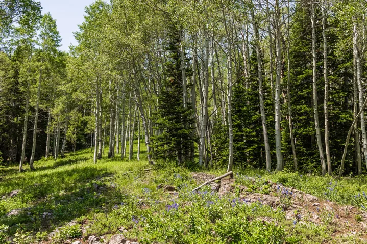 325 White Pine Canyon Rd, Park City, Utah 84060