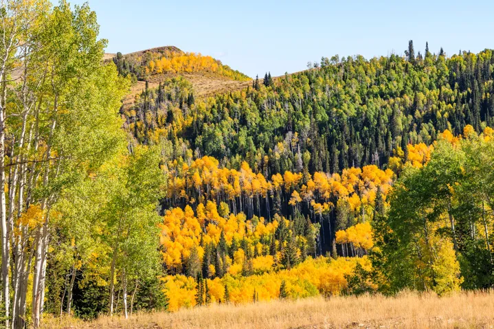 325 White Pine Canyon Rd, Park City, Utah 84060