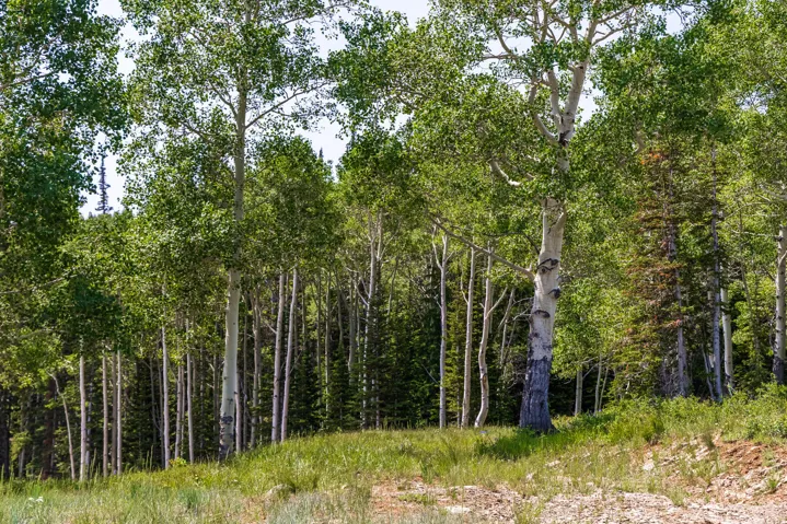 325 White Pine Canyon Rd, Park City, Utah 84060