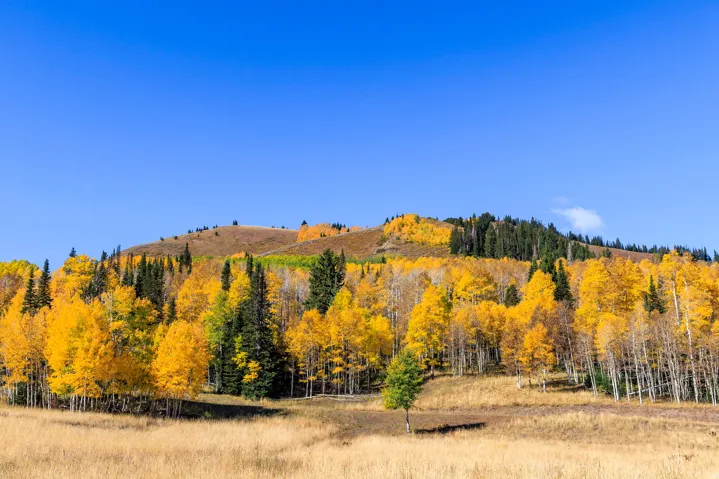 325 White Pine Canyon Rd, Park City, Utah 84060