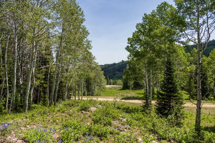 325 White Pine Canyon Rd, Park City, Utah 84060