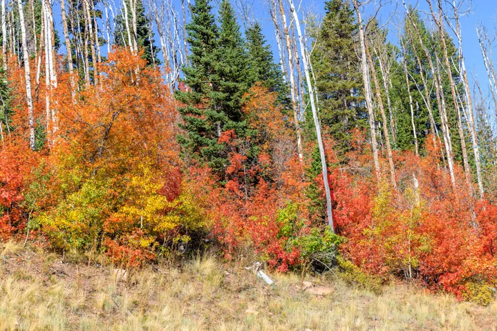 325 White Pine Canyon Rd, Park City, Utah 84060
