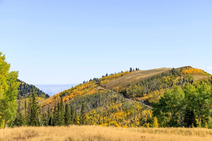 325 White Pine Canyon Rd, Park City, Utah 84060