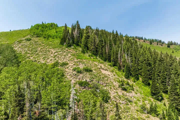 325 White Pine Canyon Rd, Park City, Utah 84060
