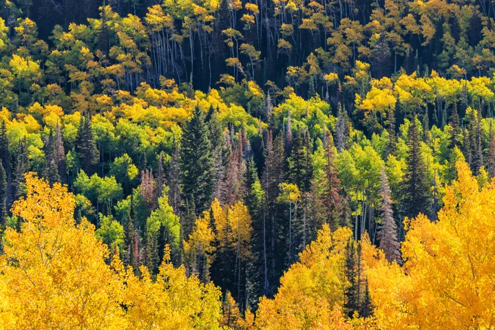 325 White Pine Canyon Rd, Park City, Utah 84060