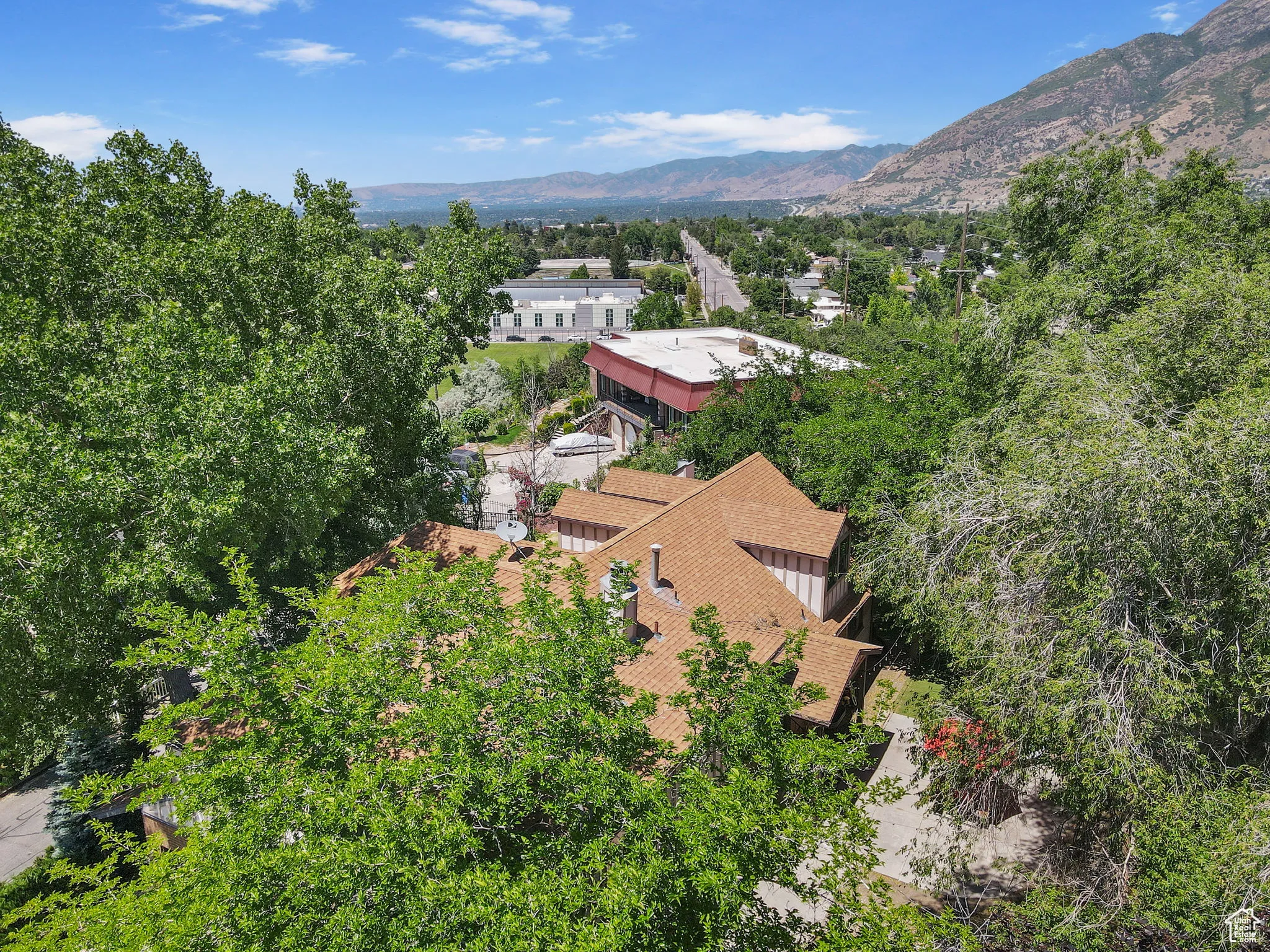 Mature Trees provide Privacy
