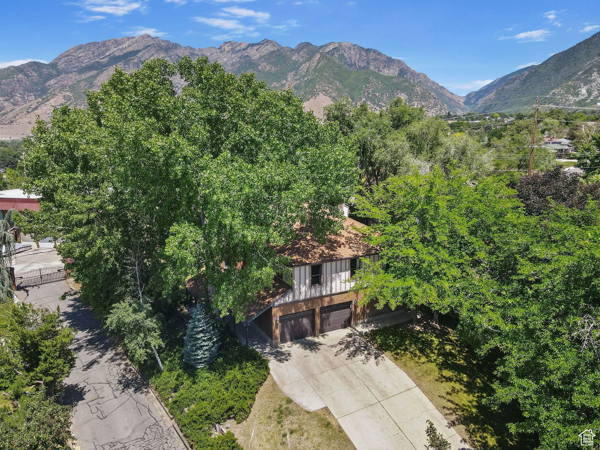 Mature Trees provide Privacy