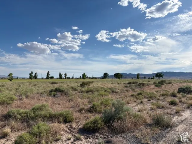 View of local wilderness with rural landscape and a mountainous background