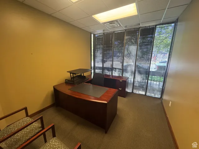 Carpeted home office with healthy amount of natural light, a drop ceiling, and a wall of windows