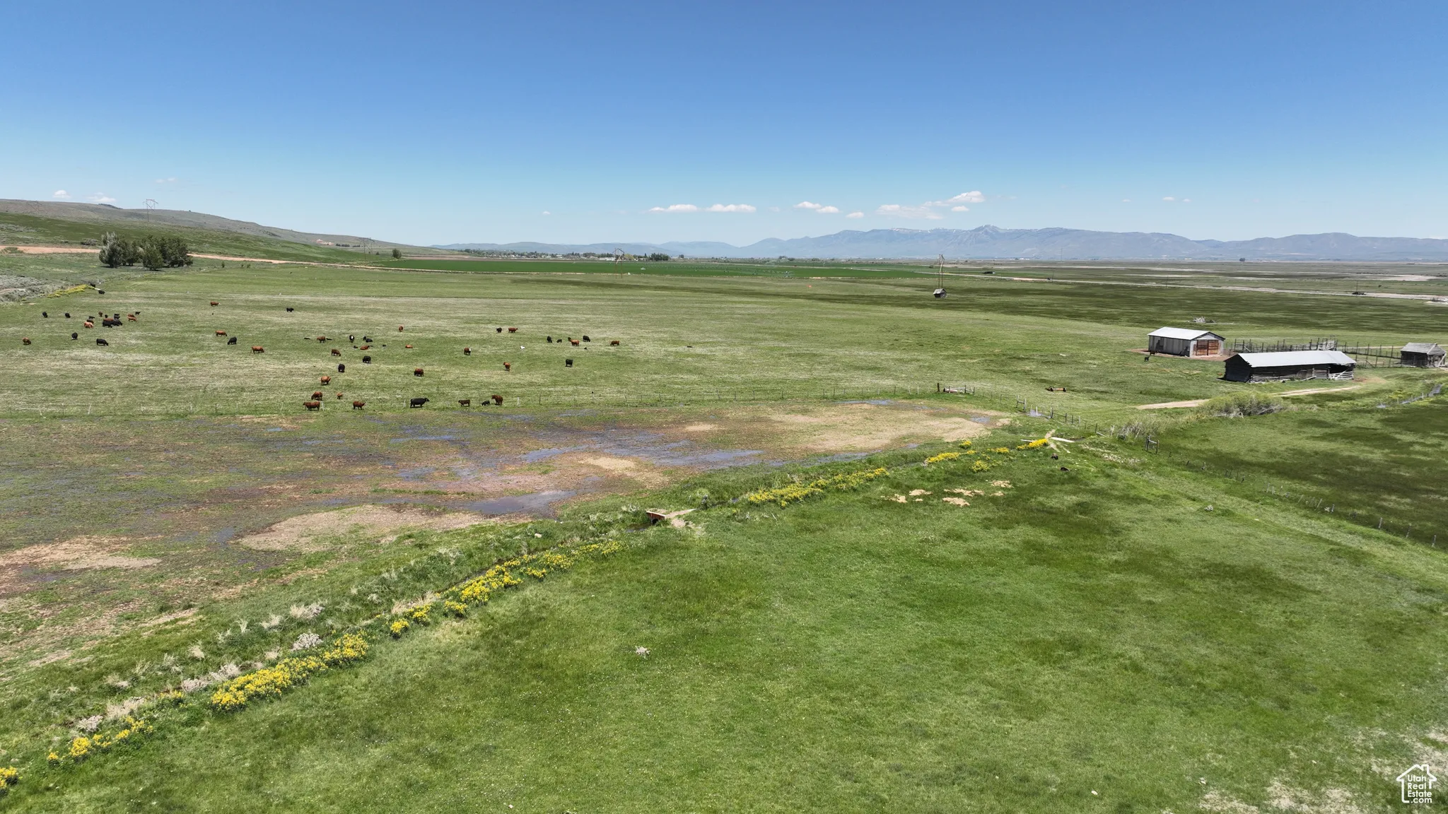 Overview of rural landscape with a mountainous background