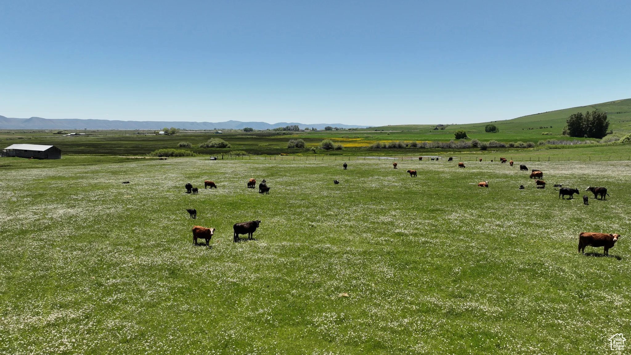 View of yard with a view of rural / pastoral area and a mountain view