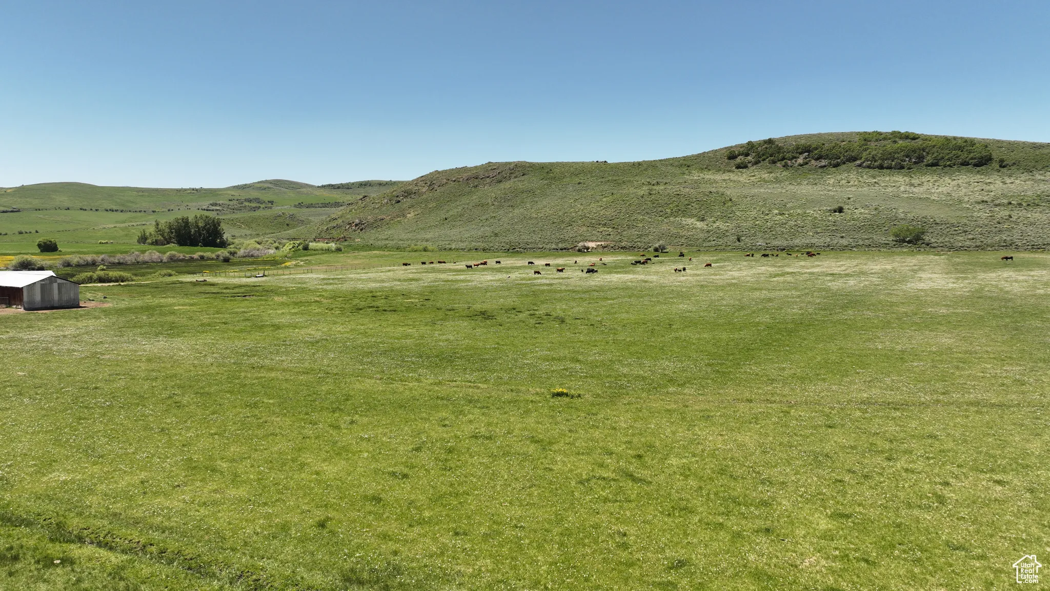 Mountain view featuring rural landscape