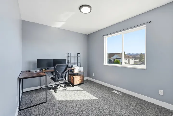 Plush carpeting, a large window, and a flush-mount ceiling light