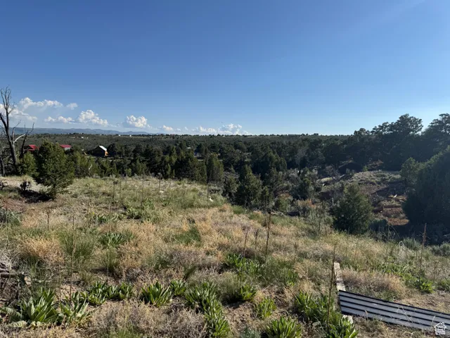 View of mountain background