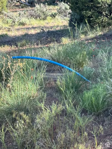 water at road