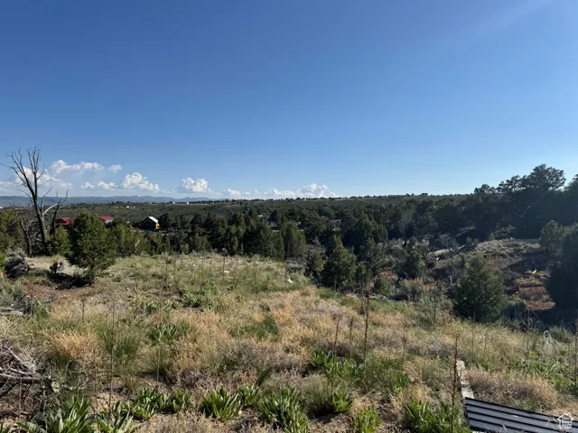 View of nature- trails and 4 wheeler- bike paths and trimmed up trees- tree house