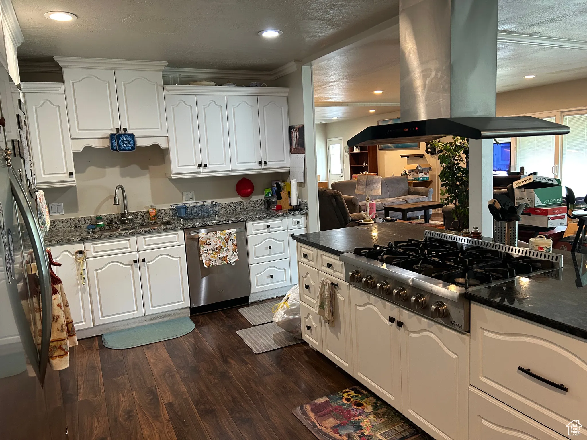 Kitchen featuring appliances with stainless steel finishes, island exhaust hood, white cabinetry, dark wood-style flooring, and crown molding