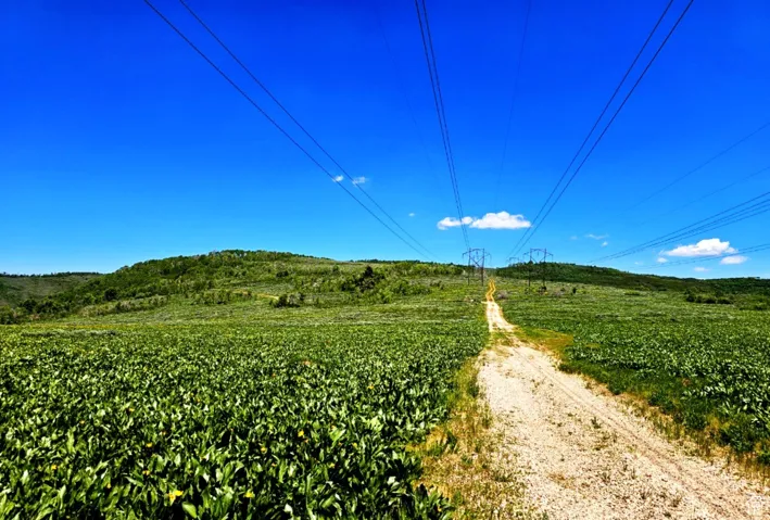 View of dirt / gravel road with a view of countryside