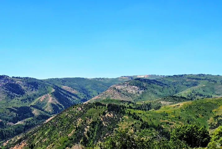 Mountain view