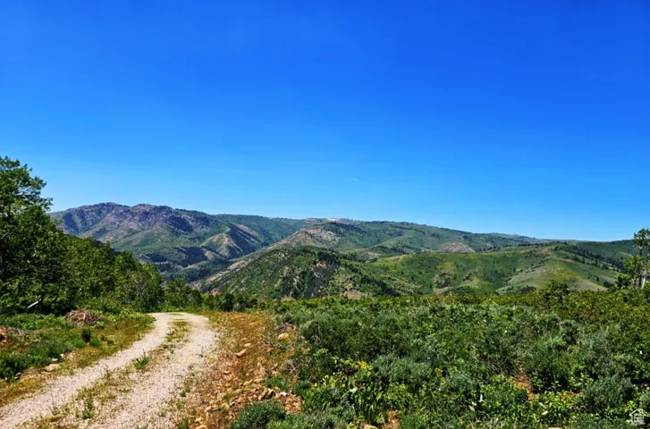 View of mountain background