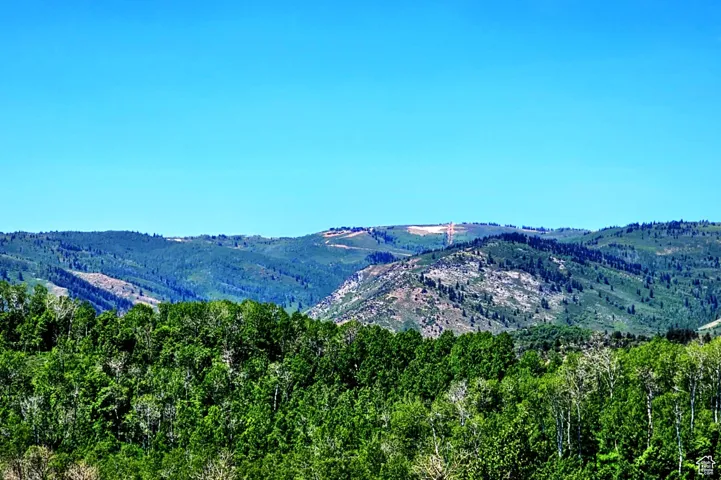 Powder Mountain