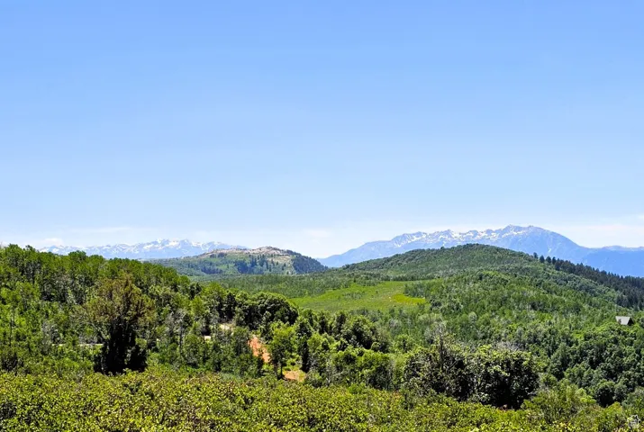 View of mountain background featuring a heavily wooded area
