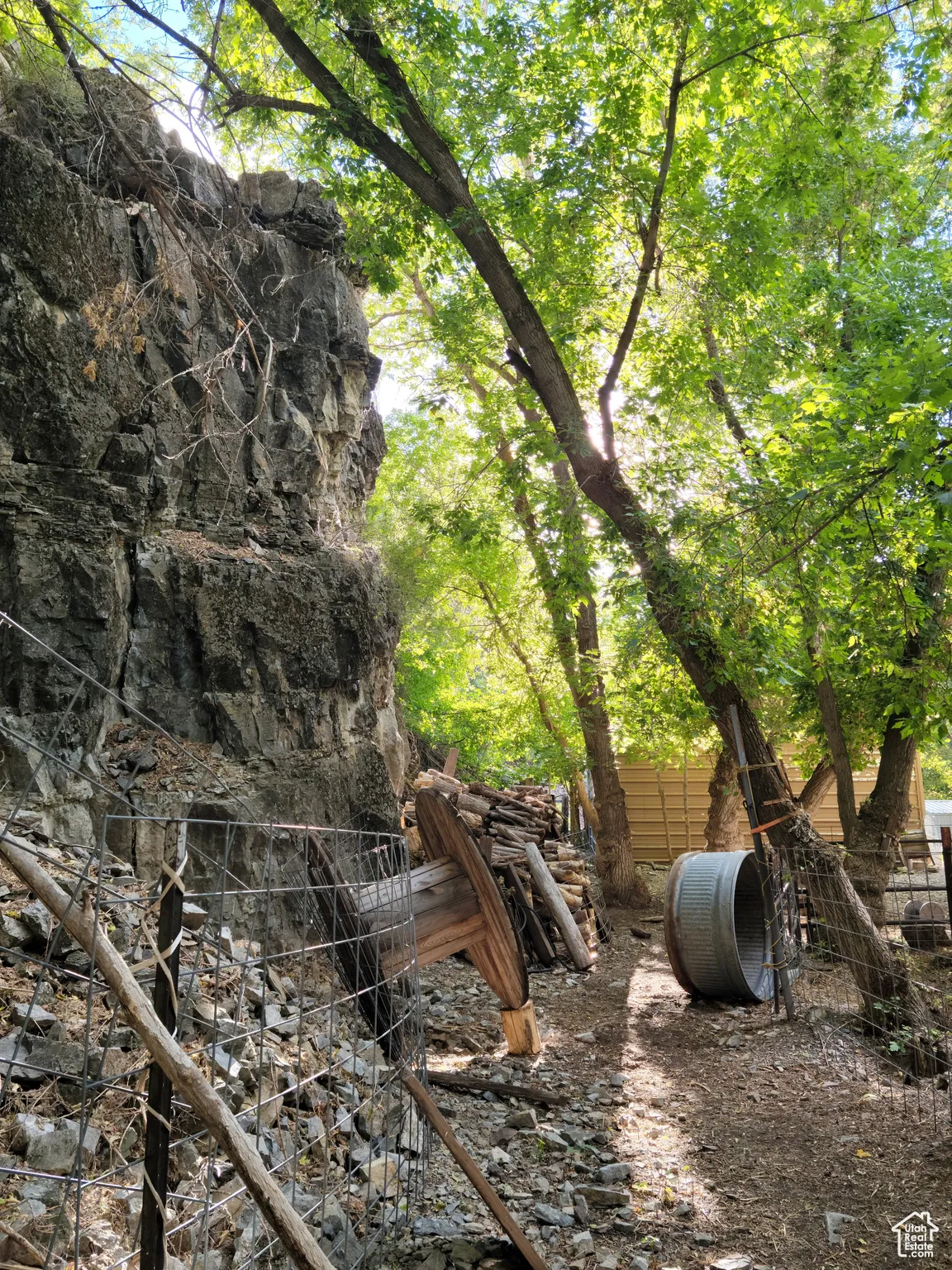 View of yard backing up to mountain
