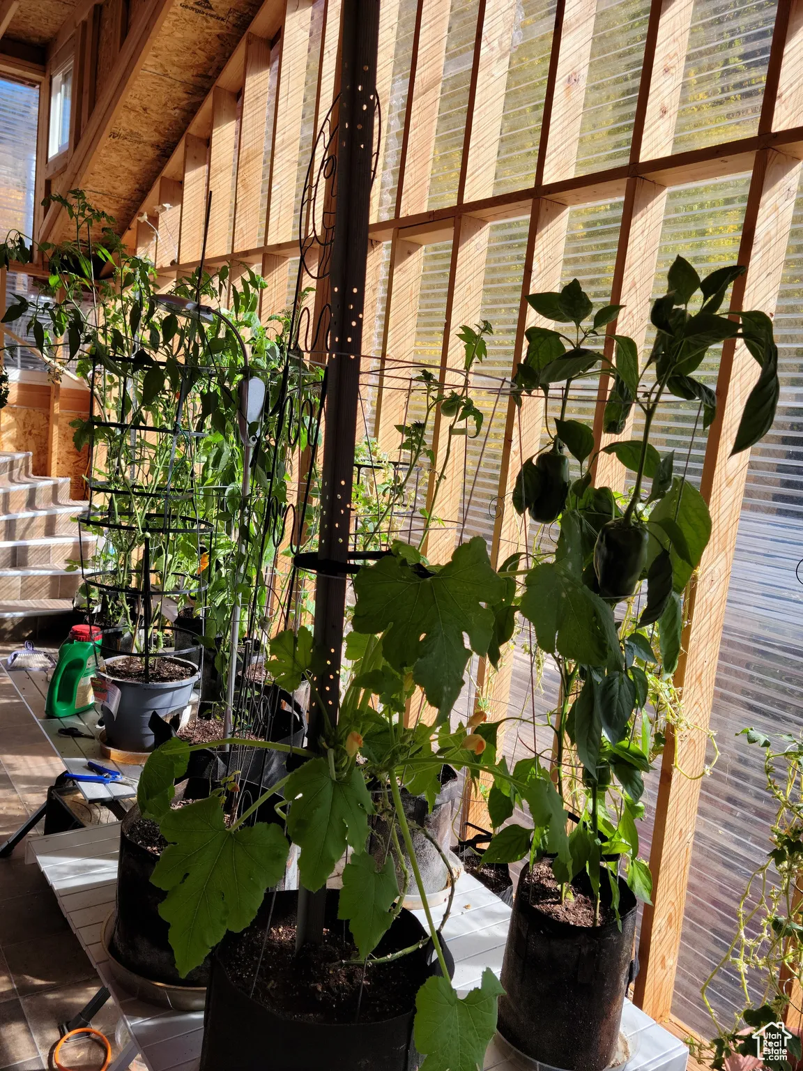View of  sunroom