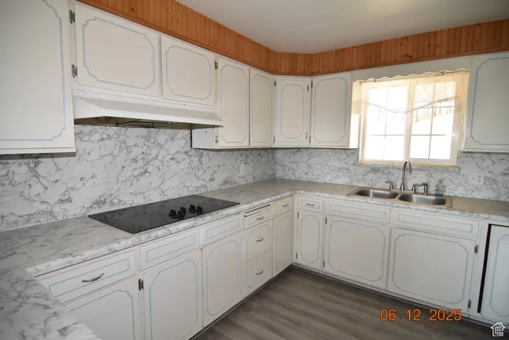 Kitchen featuring black electric cooktop, under cabinet range hood, decorative backsplash, light countertops, and white cabinets