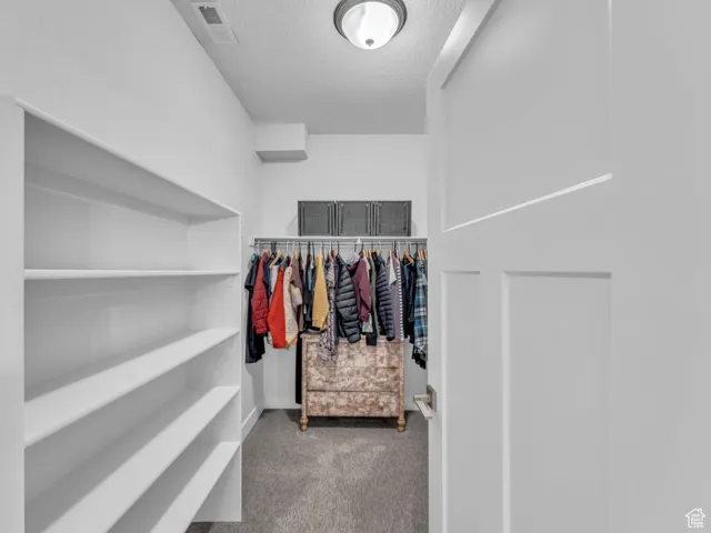 Spacious closet featuring carpet flooring