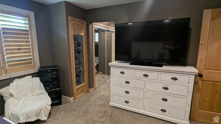 Master Bedroom featuring light carpet and multiple windows