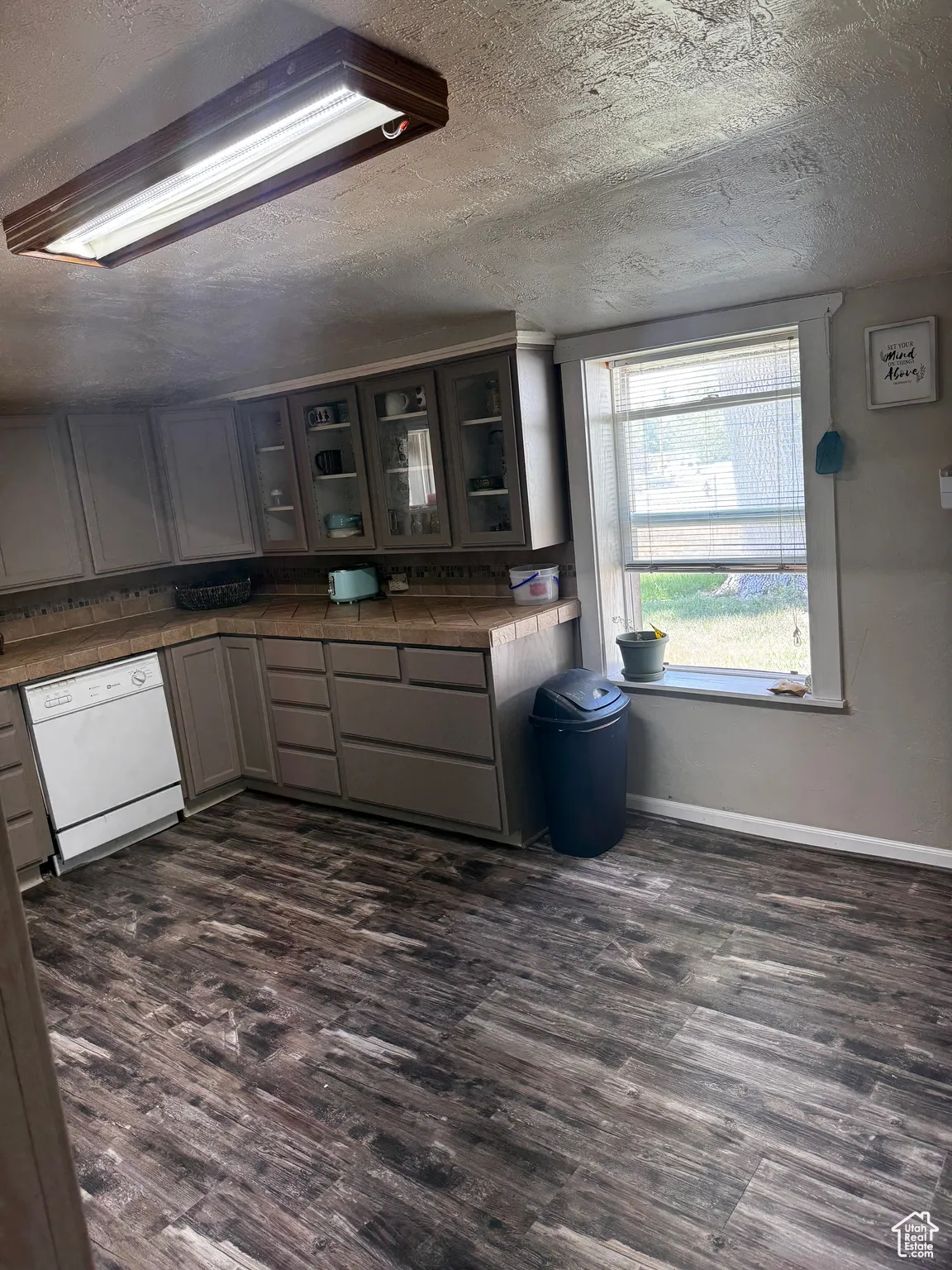 Kitchen featuring white dishwasher, dark wood-type flooring, a textured ceiling, glass insert cabinets, and tile counters