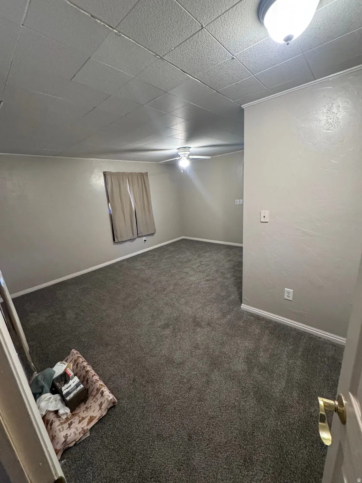 Finished basement featuring dark colored carpet and a textured wall