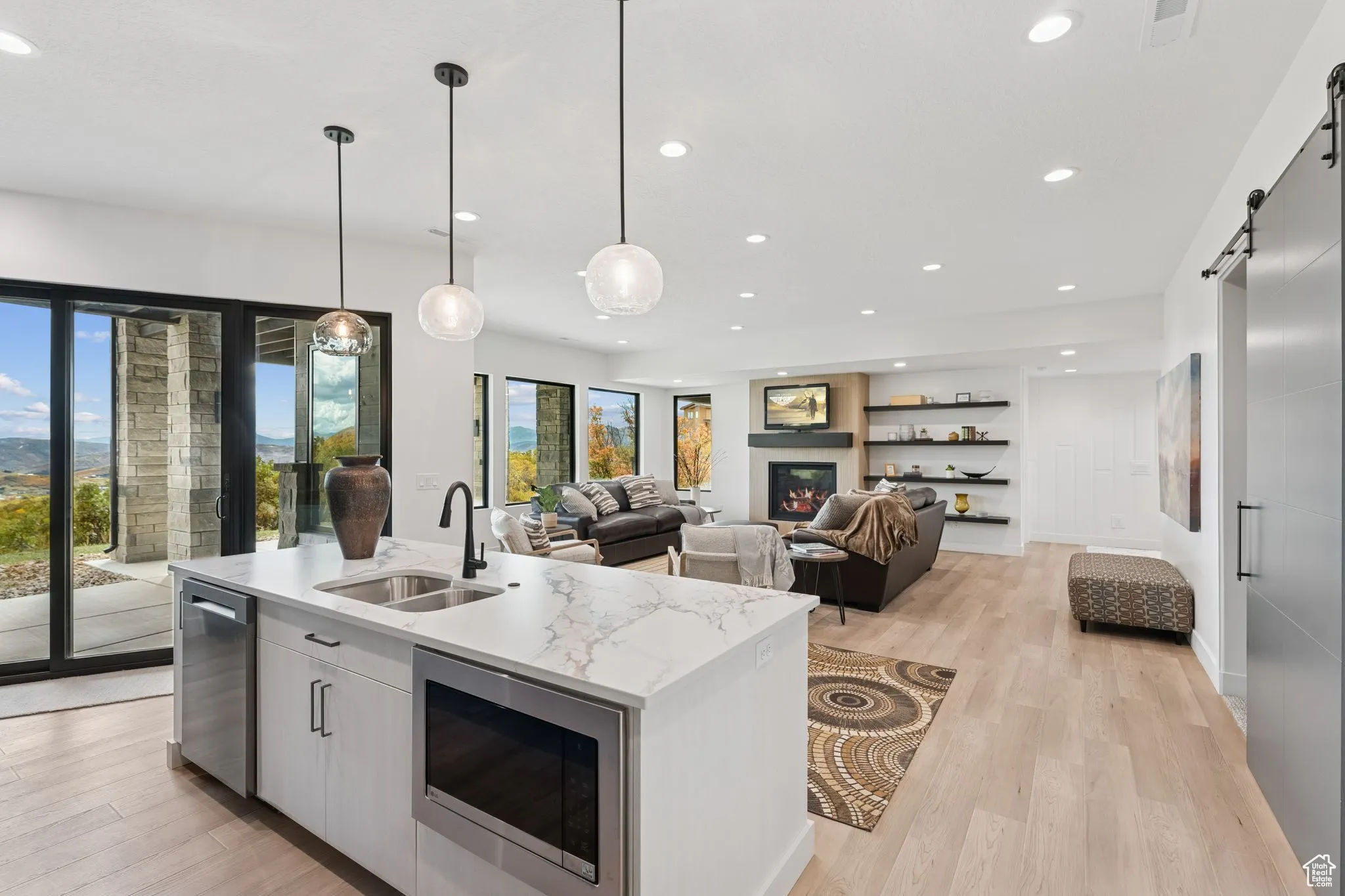 Kitchen featuring a barn door, white cabinets, stainless steel appliances, a glass covered fireplace, and light stone counters