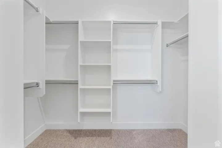 Walk in closet with carpet floors