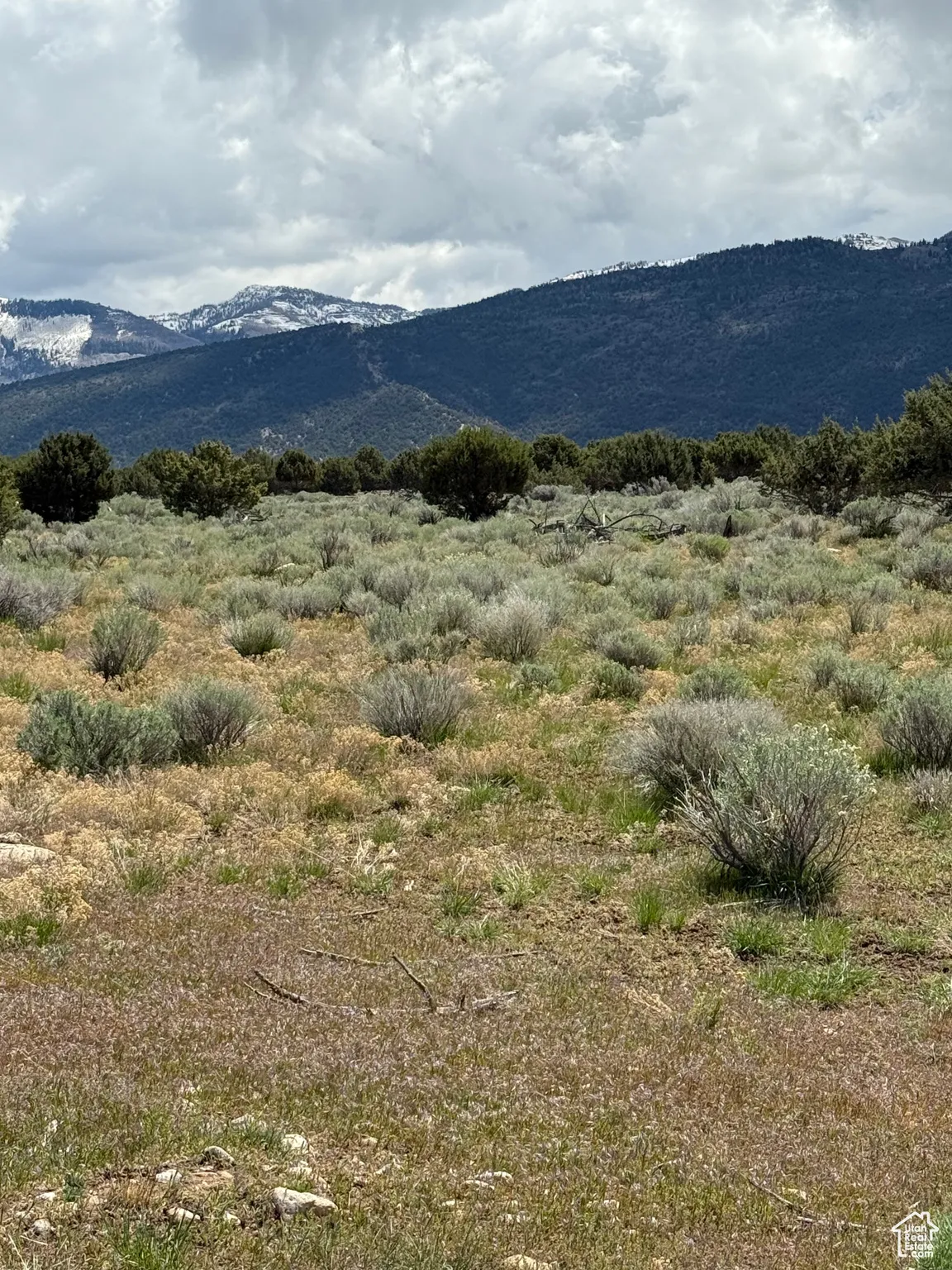 View of mountain backdrop