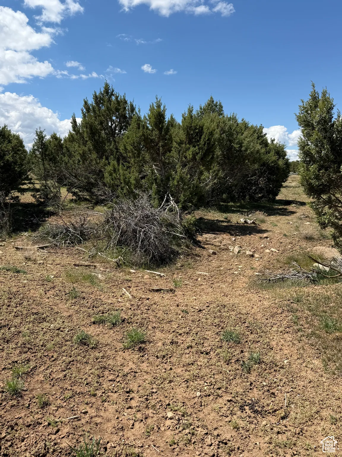 View of undeveloped land