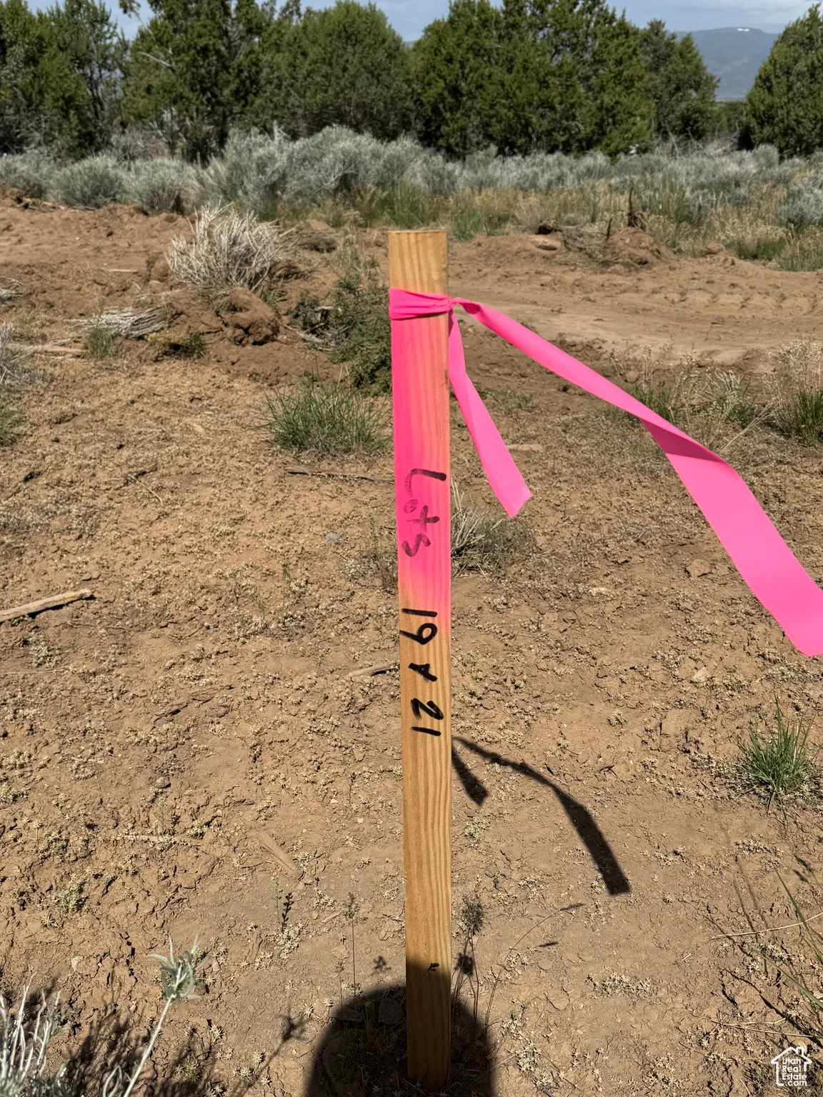 View of property's community