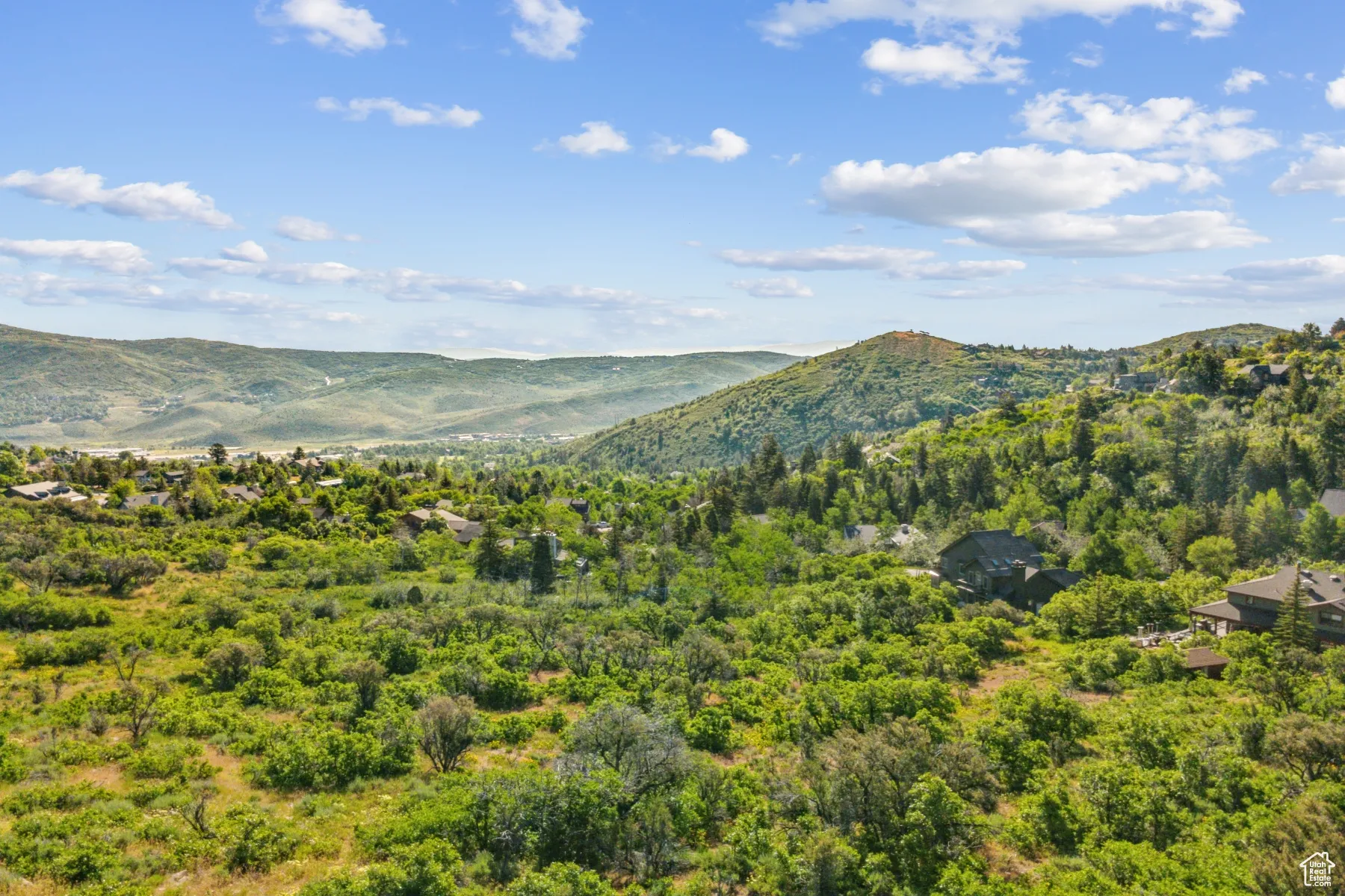 Mountain view featuring a forest
